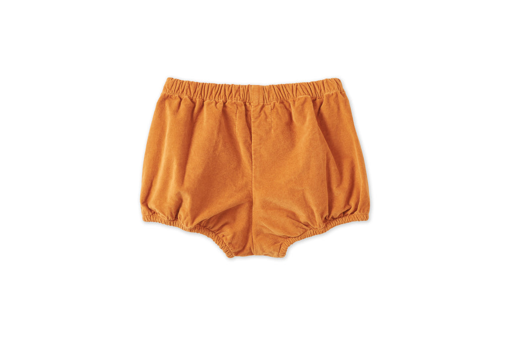 Organic Cotton Velvet Bloomers