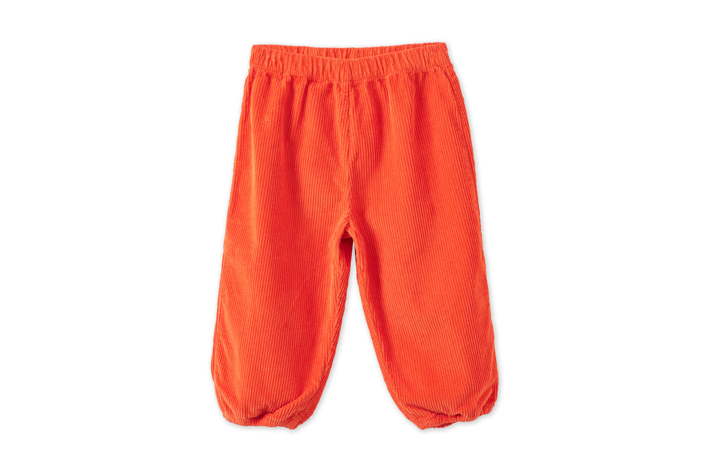 Organic Cotton Pants for Kids & Babies – Vild House of Little US