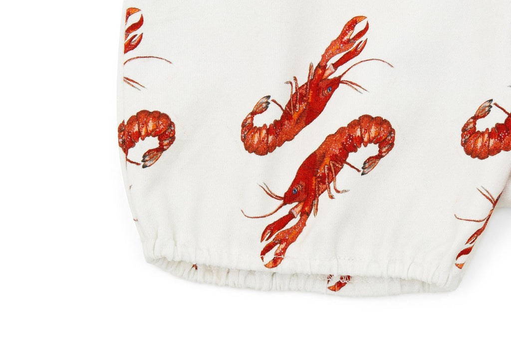 Vild Lab No.8 - Rare Living Lobsters, Organic Cotton Bloomers